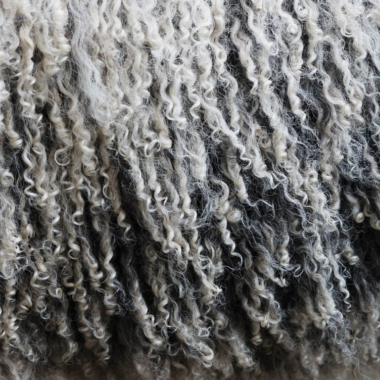 Buying and selling sheep wool