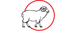 Jaroszpol - Strihanie oviec - Kúpa a predaj vlny od oviec - Predaj a servis zariadenia na strihanie oviec